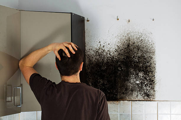 Best Crawl Space Mold Removal  in Columbia, MO
